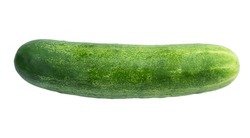 One fresh green cucumber isolated on white background