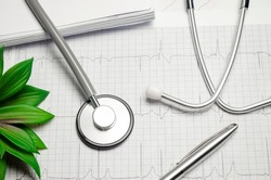 Stethoscope on cardiogram with pen and green plant on desk