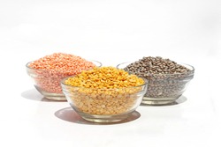 Pulses, Lal Masoor Dal, Kali Masoor, Sabut Urad Pulses, Arhar Pulses, Dal, Beans in bowl, organic Pulses, Beans