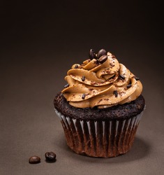 A chocolate cup cake with  mocha icing and sprinkles