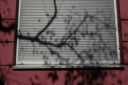 shadow of tree branches on pink building with plastic window shutters. Abstract.