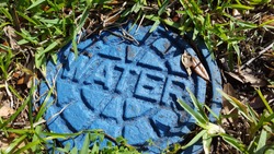 Blue Water Meter Manhole Cover in Grass