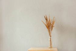
dried flowers in a vase on a gray background. dry grass in a transparent vase. gray textured wall. white frame on a gray background. black frame on gray background. empty frame.