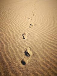 Chain of relief (embossed) footprints (footmarks) imprinted in yellow sand with wind marks on beach of Lanzarote, Canary islands. Trail of imprints of foots of one person. Image of lonely way in sand.