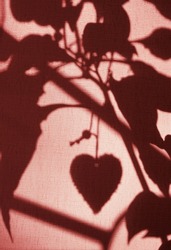 Abstract backdrop with shadow heart, floral pattern and crossed lines shadow. fabric textured background