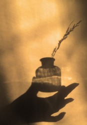 Blurred shadow of female hand and glass jar with tiny flower on sunset shade wall background. Sunlight and crossed lines shadows, Minimal aesthetics. Cinematic style and theatrical performance