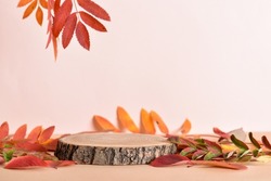 Autumn podium made of natural wood and autumn foliage. The showcase for the presentation of goods and cosmetics is made of wood on a beige background. Minimalistic branding scene