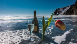 There is a glass of champagne and an open bottle on the frozen lake. In the ice crack, a bright yellow-red tulip bowed its head. Mountain range against a clear blue sky. Baikal