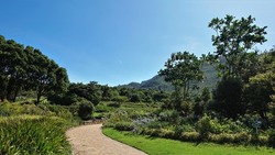 A paved pedestrian path winds through the park. On the roadsides there are lawns, flowers, lush green vegetation. Clear blue sky. Cape Town. South Africa.                                