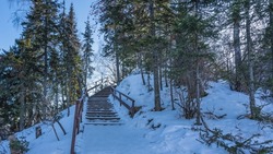 A wooden staircase climbs up the snow-covered slope of the hill, skirting it. Snow drifts all around. Tall coniferous trees against the blue sky. Altai. Manzherok