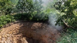 Geyser - a mud pot. Close-up. Hot steam rises from the center.  Cracks on the clay edges. There is lush green vegetation around. Kamchatka. Valley of Geysers