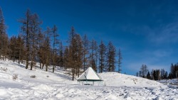 The gazebo stands in a snow-covered valley among snowdrifts. Coniferous forest on the hillside. Clear blue sky. Winter day. Altai