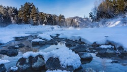 An ice-free stream flows through a snow-covered valley. There is fluffy white hoarfrost on the stones. Reflection in the water. Mountains and forest against the blue sky. Altai