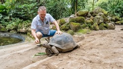 A man is squatting, smiling and feeding grass to a giant turtle Aldabrachelys gigantea. The carapace, scaly paws, neck, head, eyes are visible. The background is tropical vegetation, mossy boulders.