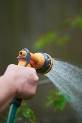A person using a hose to water plants                              