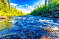 River stream rapids in beautiful summer