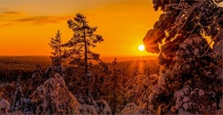 Beautiful sunset in the winter snow forest. Winter snowy forest at sunset. Winter sunset in snowy forest. Winter snow forest at sunset