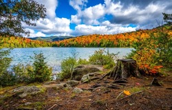 Autumn forest lake landscape. Forest lake in autumn