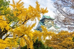 Osaka Castle castle tower and autumn leaves