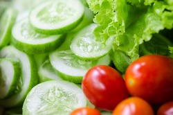 Salad, tomato and cucumber
