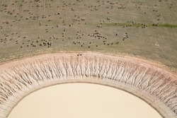 Aerial view of a farm dam in Western Australia with sheep surrounding