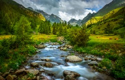 Mountain river water flow in green Alps forest