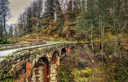 The old bridge in the mountain forests. Bridge in forest. Forest bridge view