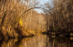 River in the autumn forest. Autumn river in forest. Autumn forest river view