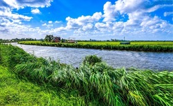 River bank with lush green grass. Summer river grass. River grass on river shore