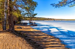 On the shore of a forest lake. Lake shoreline. Lake shore landscape. Frozen lake landscape