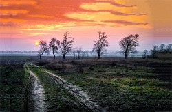 Sunset over the countryside road. Country sunset sky landscape. Rural scene at sunset. Sunset sky in countryside