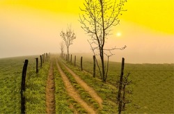 Rural path in the early foggy morning. Early morning fog on countryside at dawn. Beautiful sunrise fog in the morning. Foggy country path at dawn