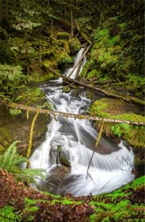 River waterfall in the forest. Waterfall stream in mossy forest scene. Waterfall stream view