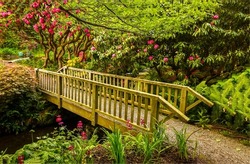 Wooden bridge in the garden. Garden bridge way. Bridge in amazing garden. Garden bridge view