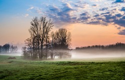 Early morning fog in the field
