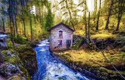An abandoned house by a forest stream. Witch house in autumn mossy foresdt at river stream. Forest house at river stream. Abandoned house at forest river stream