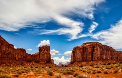 The desert in the red canyon background