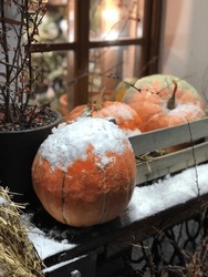 pumpkins decor covered in snow on Halloween night