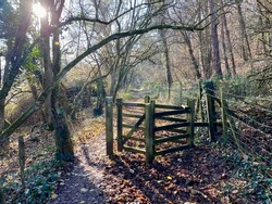 Sunny countryside path and wooden gate, on a crisp, frosty morning