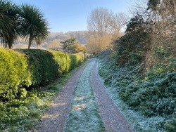 Country track on a crisp and frosty morning