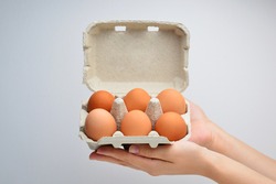 In the hands of a woman packing eggs on white isolated background. Woman holding fresh chicken eggs in cardboard box on white background.