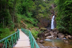 Beautiful nature forest with green wooden bridge over the stream is path way into the waterfall and jungle on mountain at Thailand