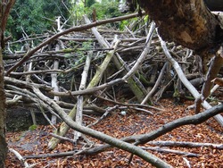closeup of pile of branches sculpture in woods lair