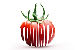 tomato typographic illustration poster design