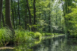 One of the numerous water canals in biosphere reserve Spree forest (Spreewald) in Luebbenau, Brandenburg, Germany