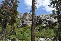 A rocky view through the woods of the Emigrant Wilderness in the Stanislaus National Forest. 