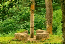 monument in the forest with green leaves background