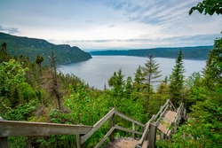 Stairs in the foreground go down to the sea around the forest and the bush at fjords du Saguenay, Quebec Province, Canada, during a cloudy day