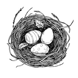 Hand drawn vector illustration - nest with spring eggs. Happy Easter! Sketch
