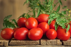 Fresh organic juicy Roma tomatoes. Tomatoes Roma on wooden table